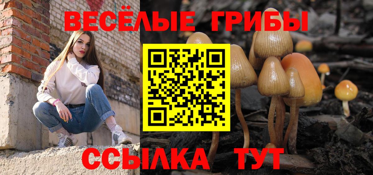 Галлюциногенные грибы Cubensis  Вход с VPN  Нижнекамск 